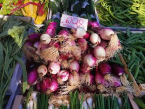 Accademia di Cucina Italiana cipollotti